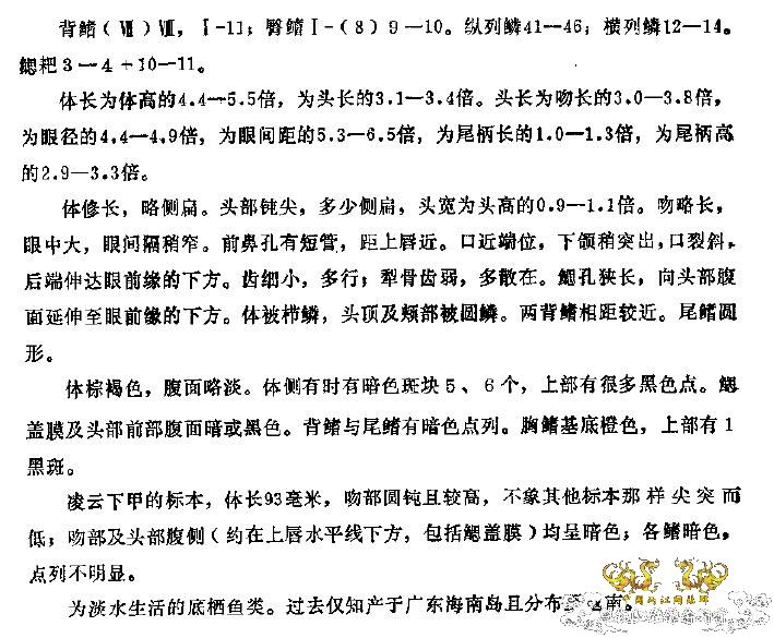 [求助]海南新沙塘鳢 Neodontobutis hainanensis (Chen，1985)