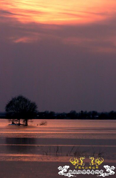 [灌水]我爱我家——济宁