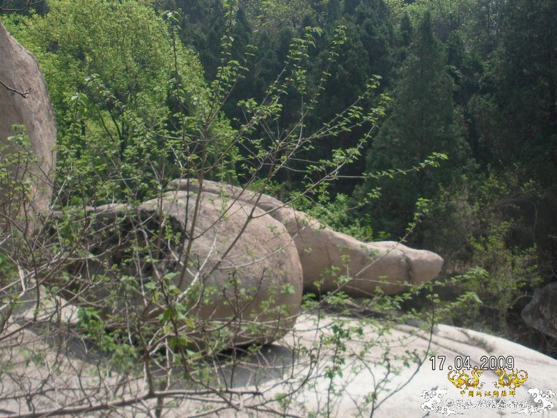 [灌水]我爱我家——济宁