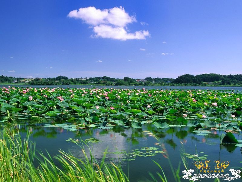 [灌水]我爱我家——济宁