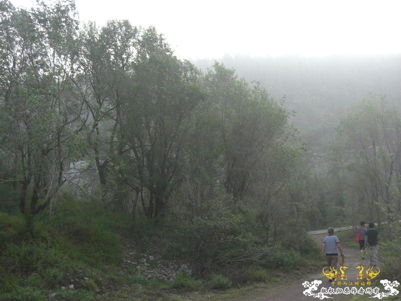 [灌水]我爱我家——济宁