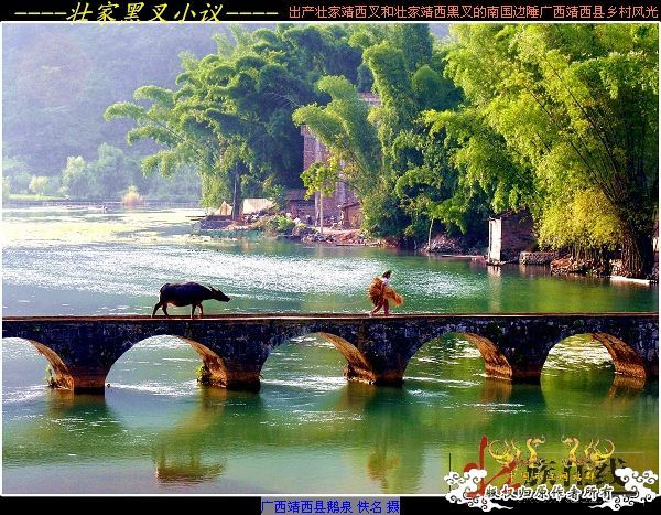 [分享]“壮家黑叉”小议