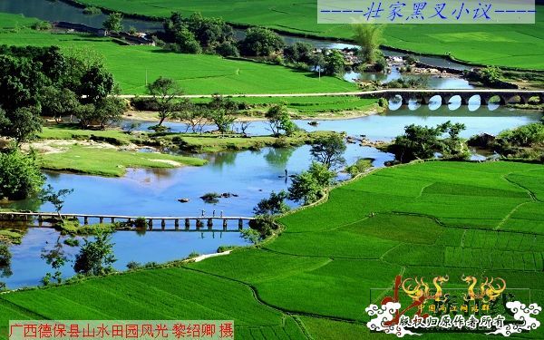 [分享]“壮家黑叉”小议