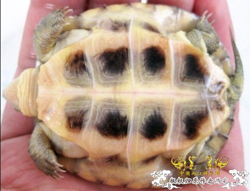 随便发发