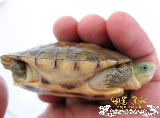 随便发发