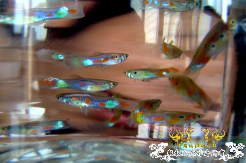 我晕。。。。。。。