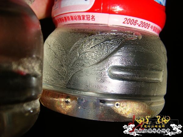 [转帖]2009年8月赠壮家大新叉活动花絮（3）【邮寄鱼方法与过程】