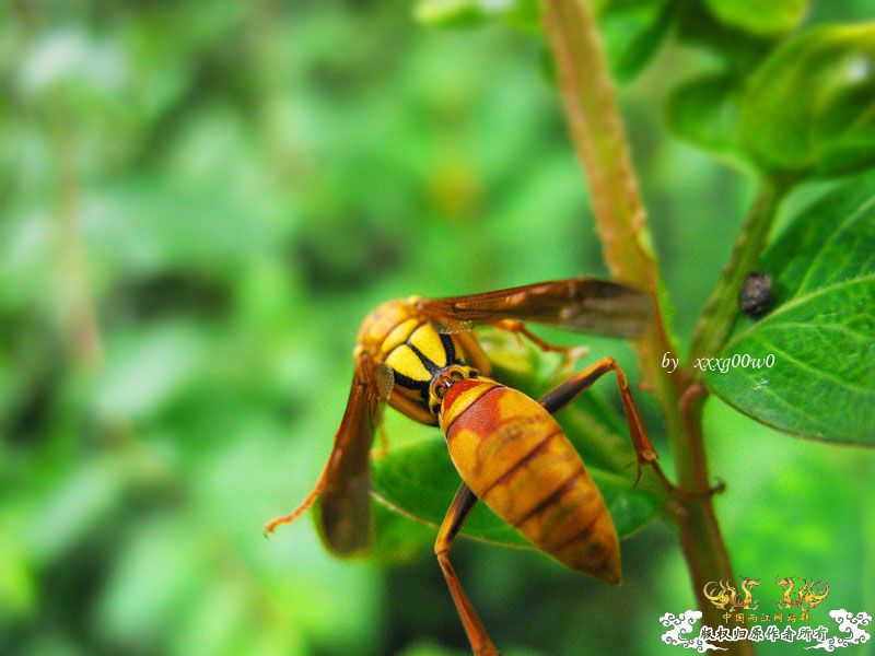 常见东西,一组杂片