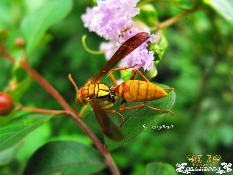 常见东西,一组杂片