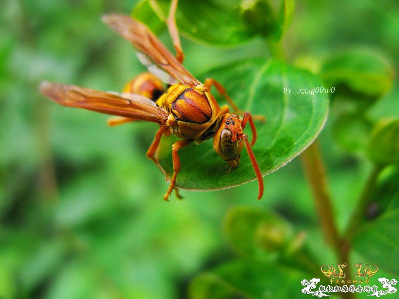 常见东西,一组杂片
