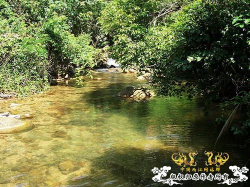 广东原生群8.16广东某地郊游野采过程(有艳遇)....多图