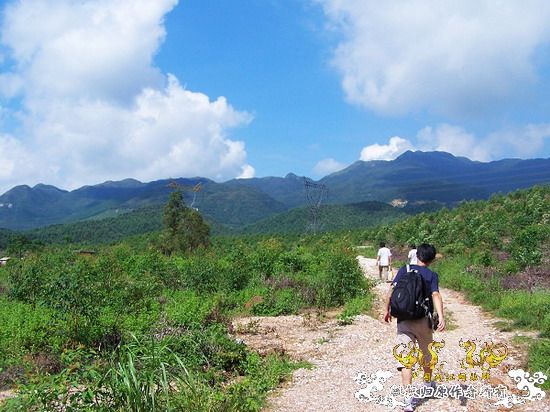 广东原生群8.16广东某地郊游野采过程(有艳遇)....多图