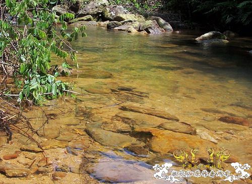 广东原生群8.16广东某地郊游野采过程(有艳遇)....多图
