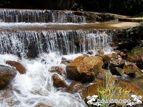 广东原生群8.16广东某地郊游野采过程(有艳遇)....多图