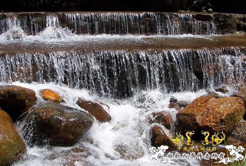 广东原生群8.16广东某地郊游野采过程(有艳遇)....多图
