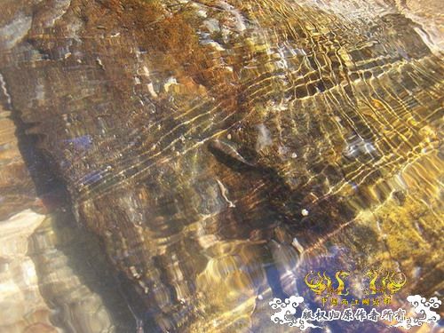 广东原生群8.16广东某地郊游野采过程(有艳遇)....多图