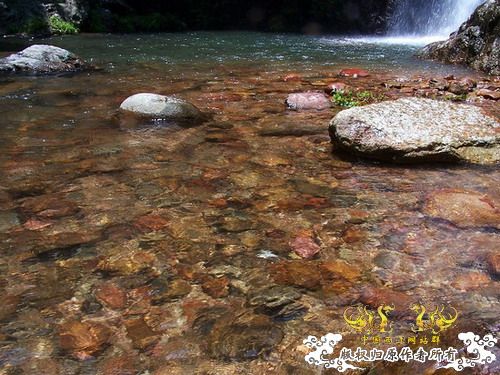 广东原生群8.16广东某地郊游野采过程(有艳遇)....多图