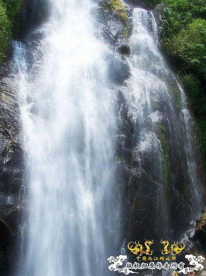广东原生群8.16广东某地郊游野采过程(有艳遇)....多图