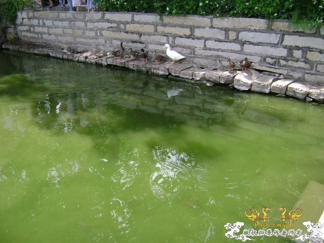 厦门南普陀