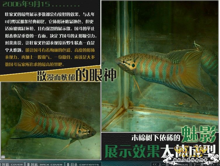 [公告]壮家大新叉赠送活动周即日起开展