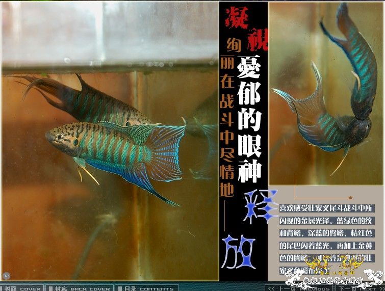 [公告]壮家大新叉赠送活动周即日起开展