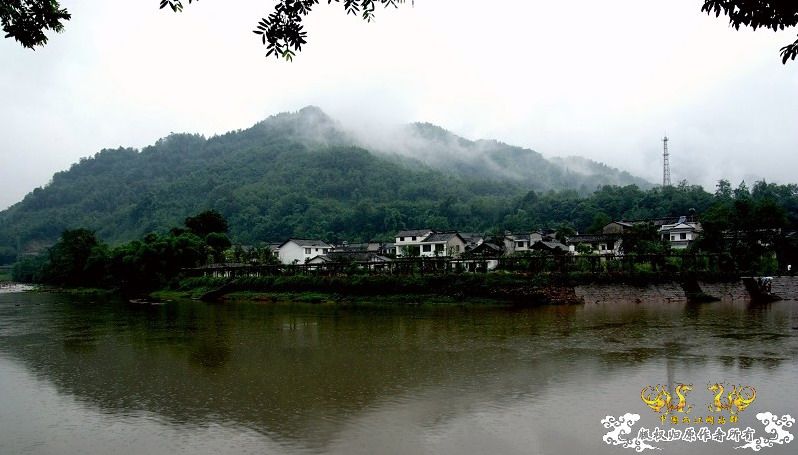 野采归来 多图S猫哦