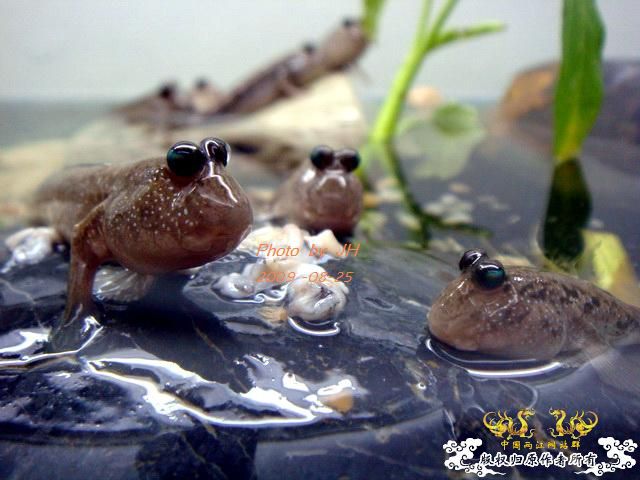 [原创]不同的角度,不一样的感受