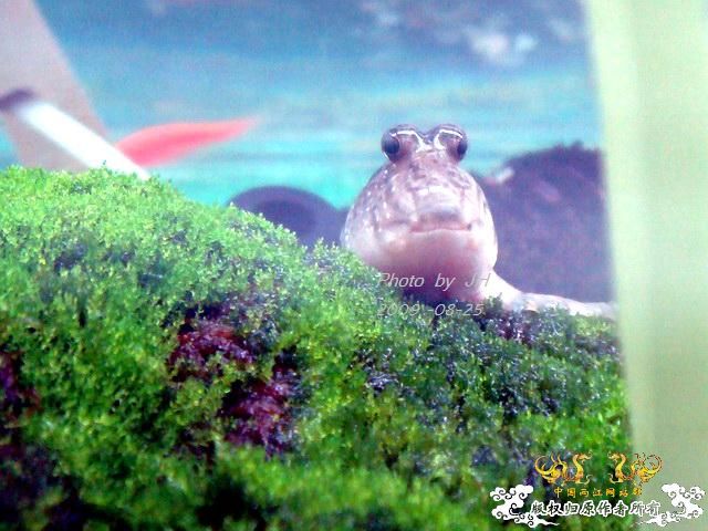 [原创]不同的角度,不一样的感受