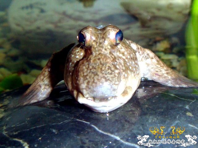 [原创]不同的角度,不一样的感受