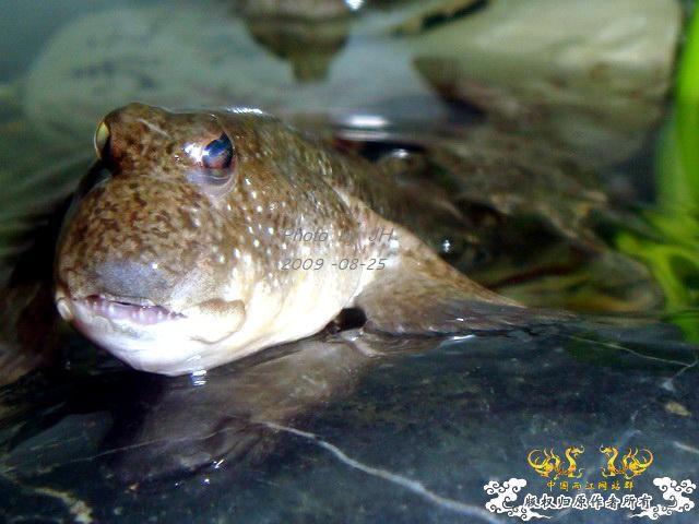 [原创]不同的角度,不一样的感受