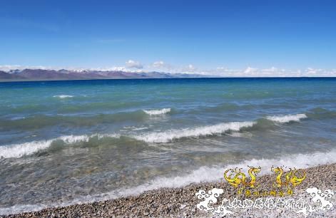 西藏有啥原生鱼?