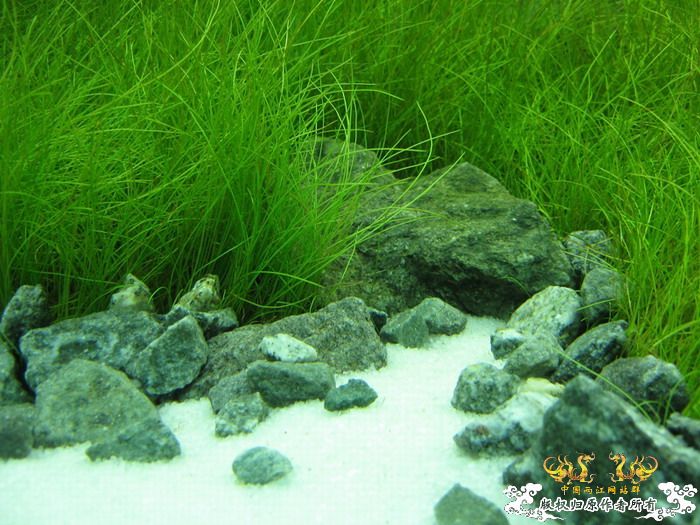 新爆料....阿扁的监房照片