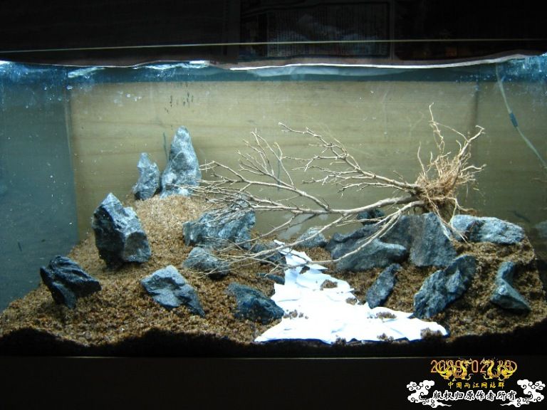 第二个原生缸 第二个原生缸