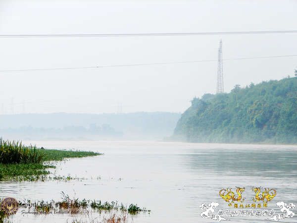 [原创]成都夏季野采——新发现，国斗圆叉共存！