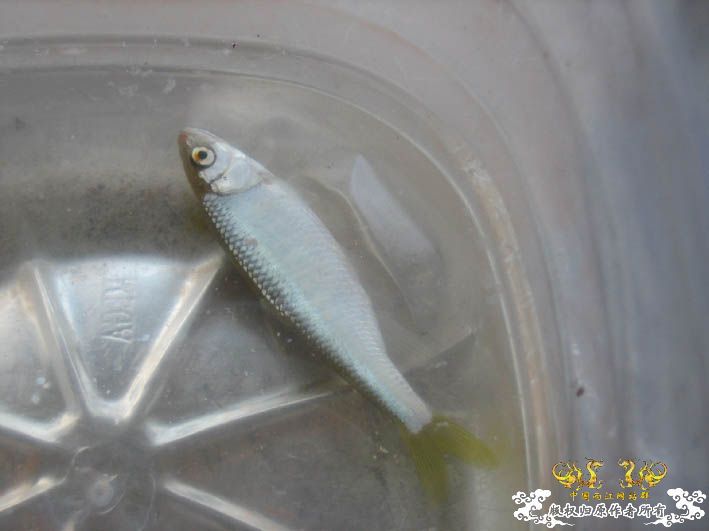 09.8.5——8.6 承德一日游见闻