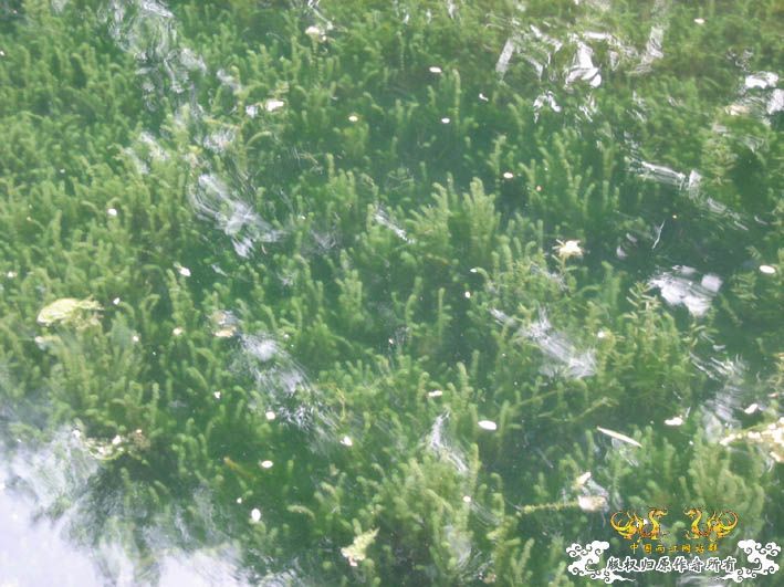 09.8.5——8.6 承德一日游见闻