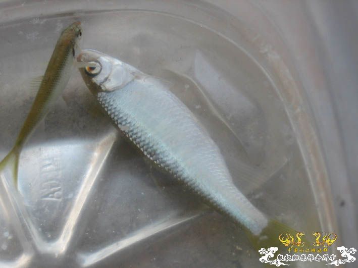 09.8.5——8.6 承德一日游见闻