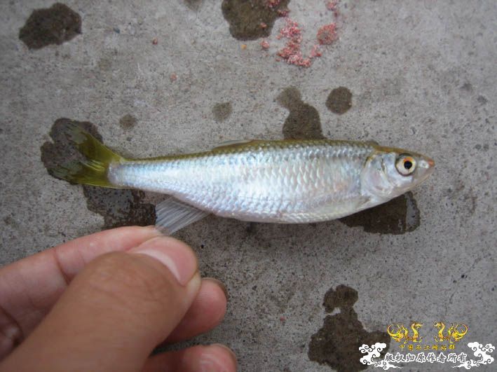 09.8.5——8.6 承德一日游见闻