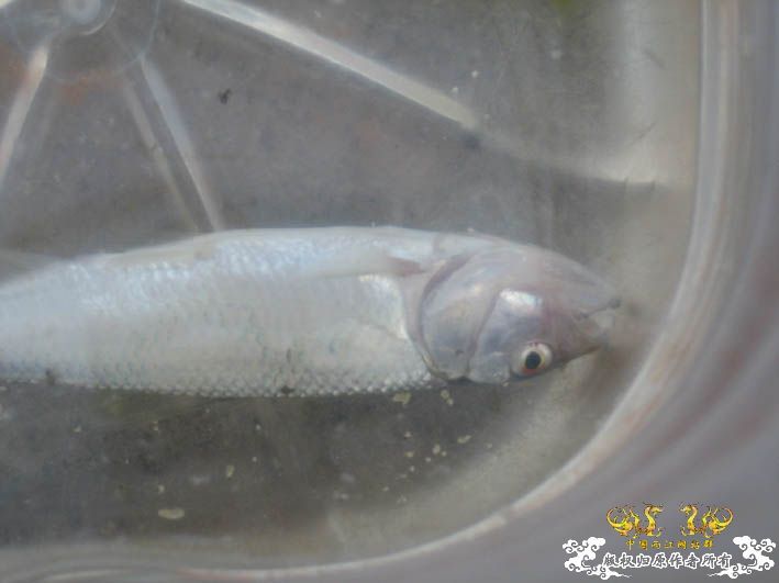 09.8.5——8.6 承德一日游见闻