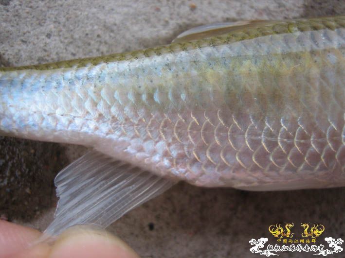 09.8.5——8.6 承德一日游见闻