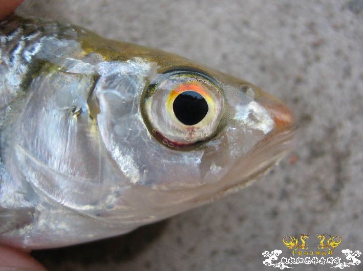 09.8.5——8.6 承德一日游见闻