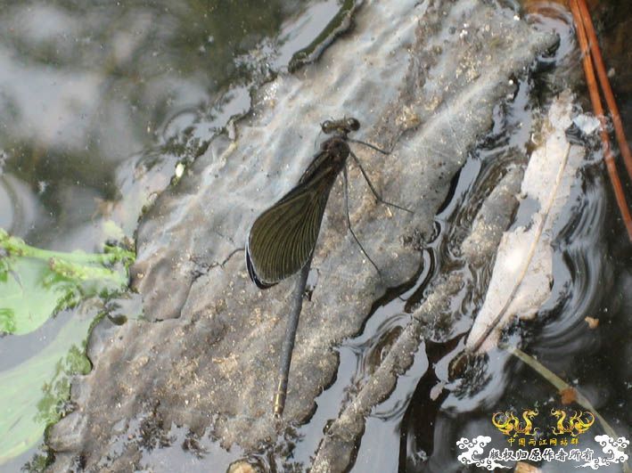 09.8.5——8.6 承德一日游见闻