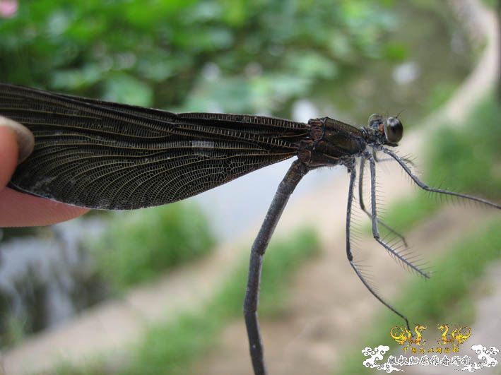 09.8.5——8.6 承德一日游见闻