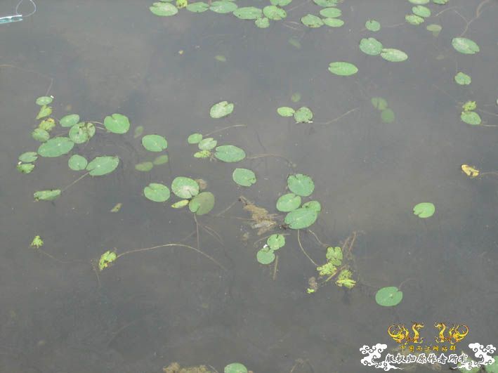 09.8.5——8.6 承德一日游见闻