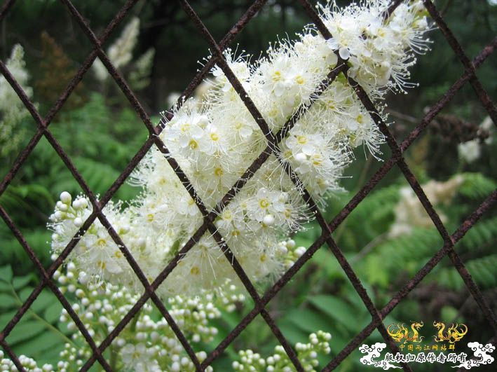 09.8.5——8.6 承德一日游见闻