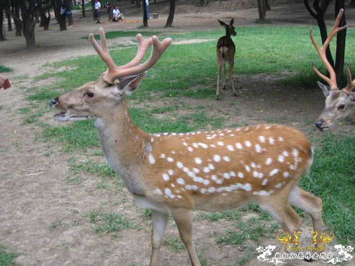 09.8.5——8.6 承德一日游见闻