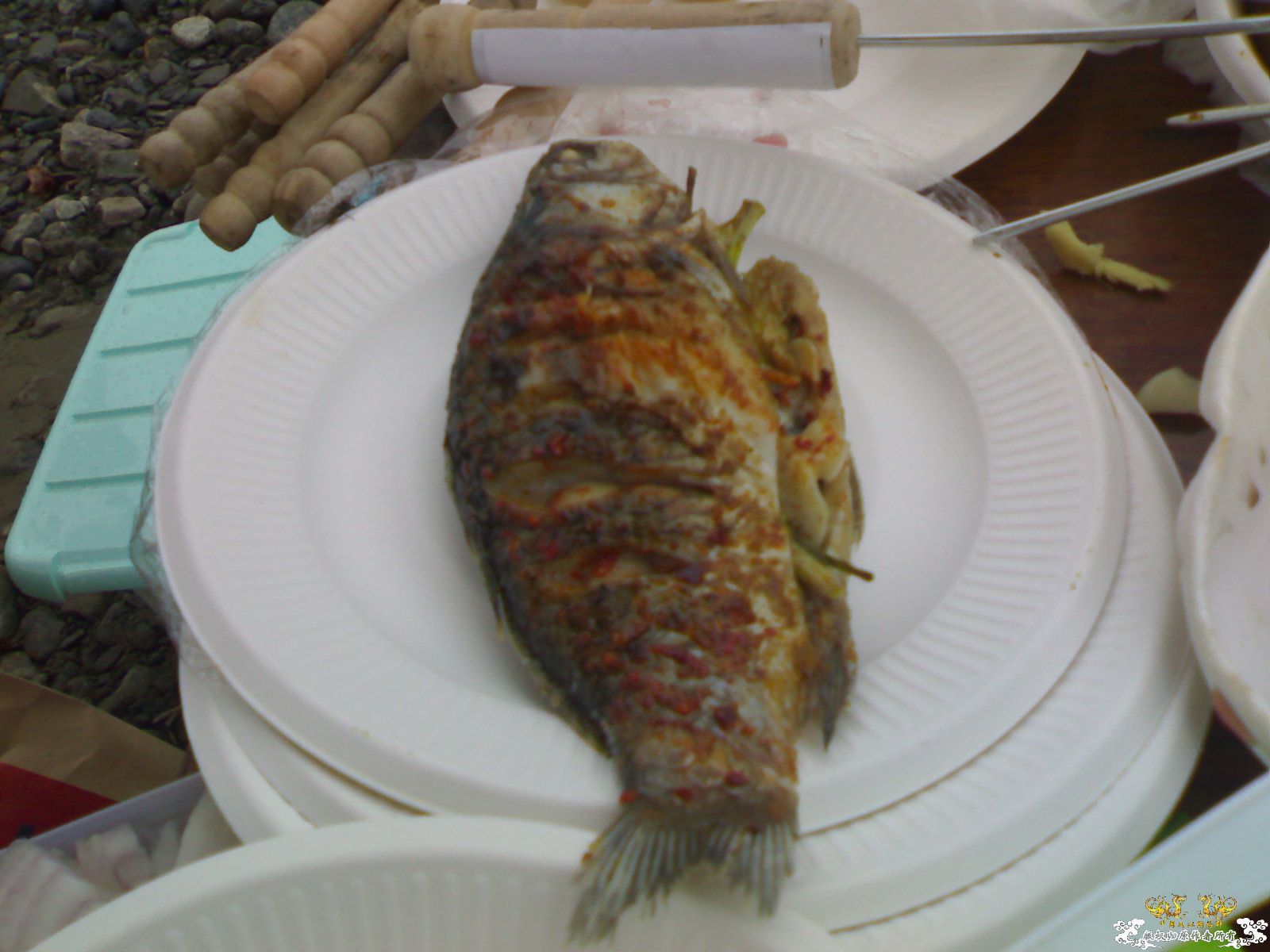 认鱼！（娱乐版）