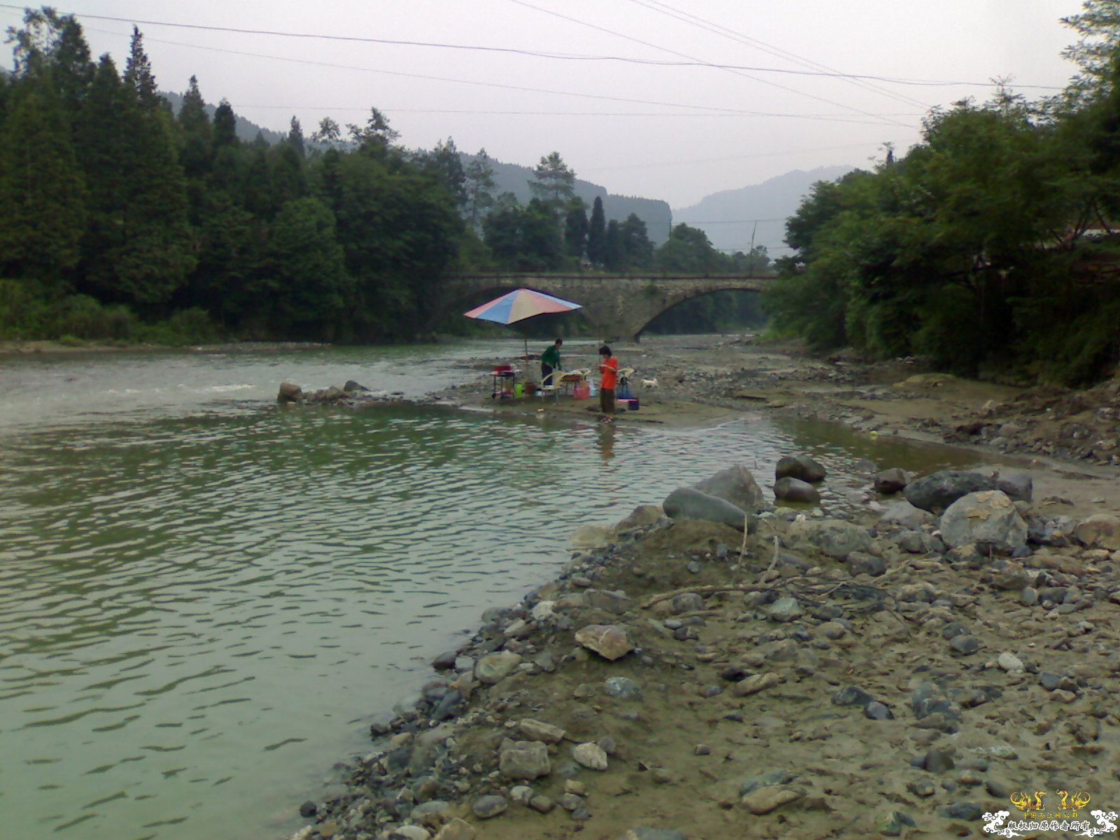 认鱼！（娱乐版）