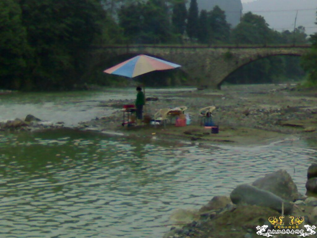 认鱼！（娱乐版）