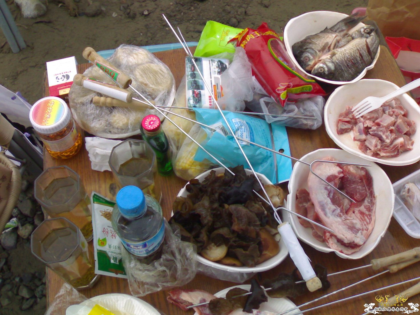 认鱼！（娱乐版）